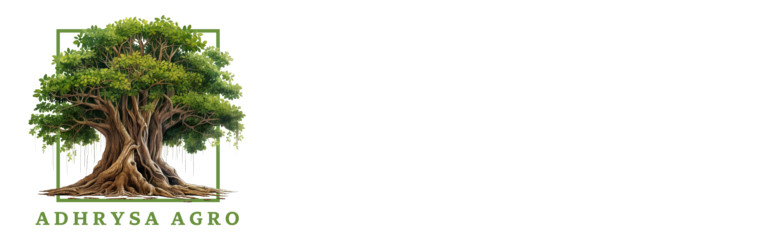 Adhrysa%20Agro